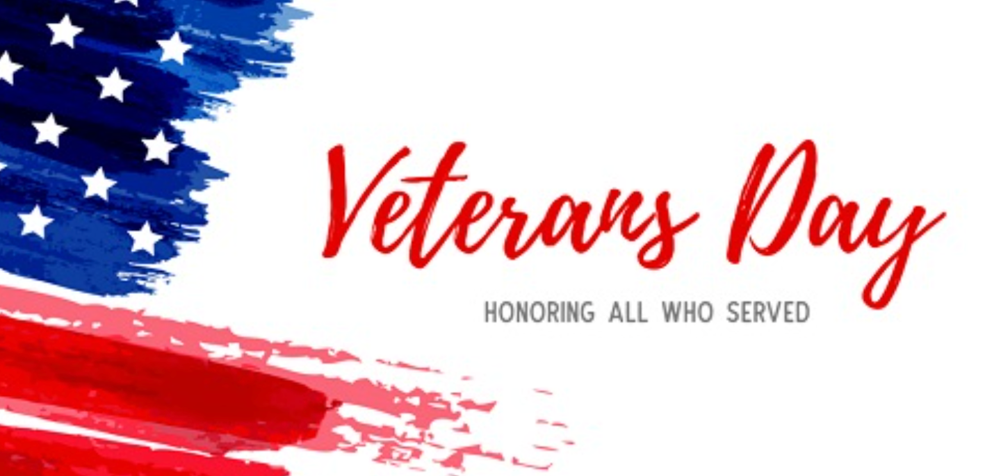 HOBBYWING: This Veterans Day, We honor those who served.
