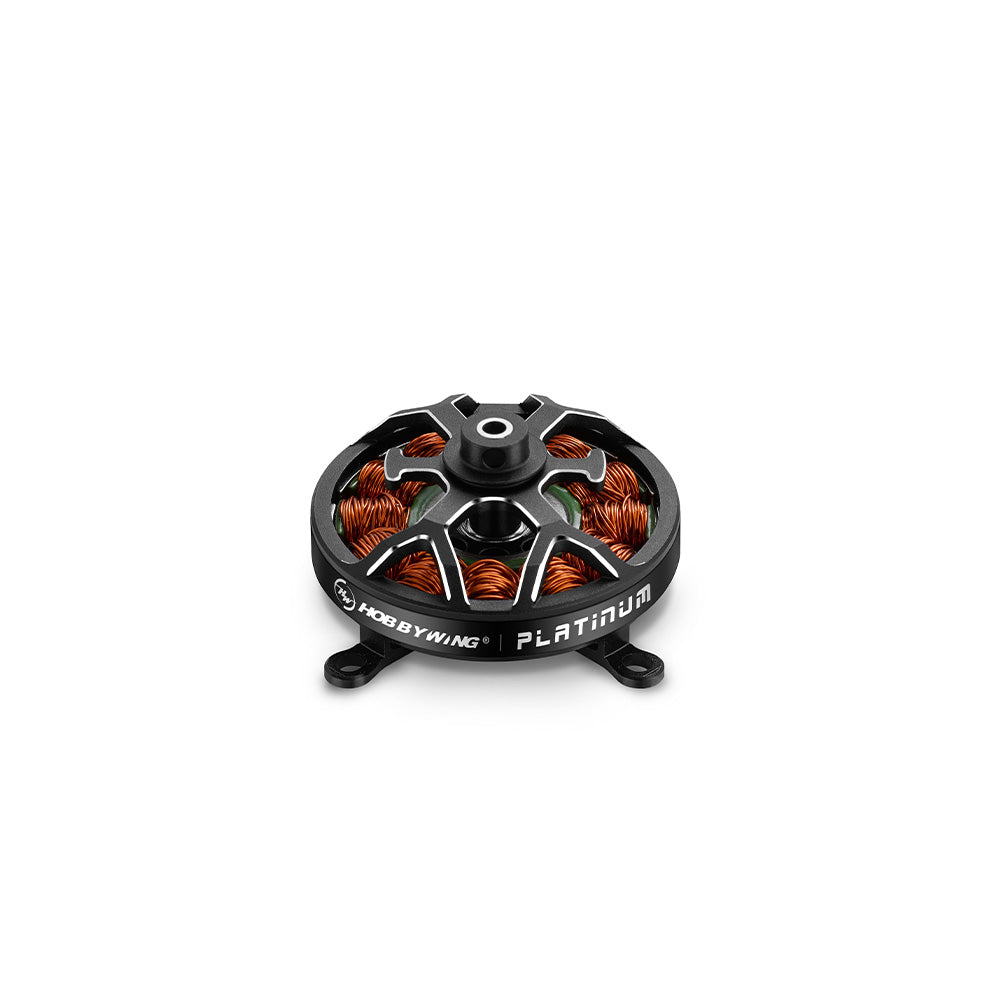 PLATINUM 2603 Series Motor