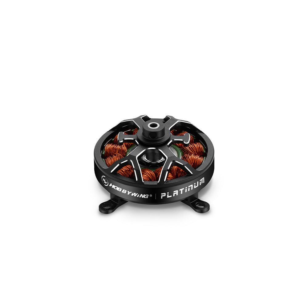 PLATINUM 2604 Series Motor